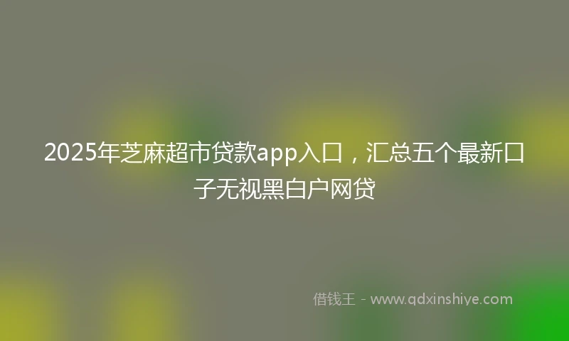2025年芝麻超市贷款app入口，汇总五个最新口子无视黑白户网贷