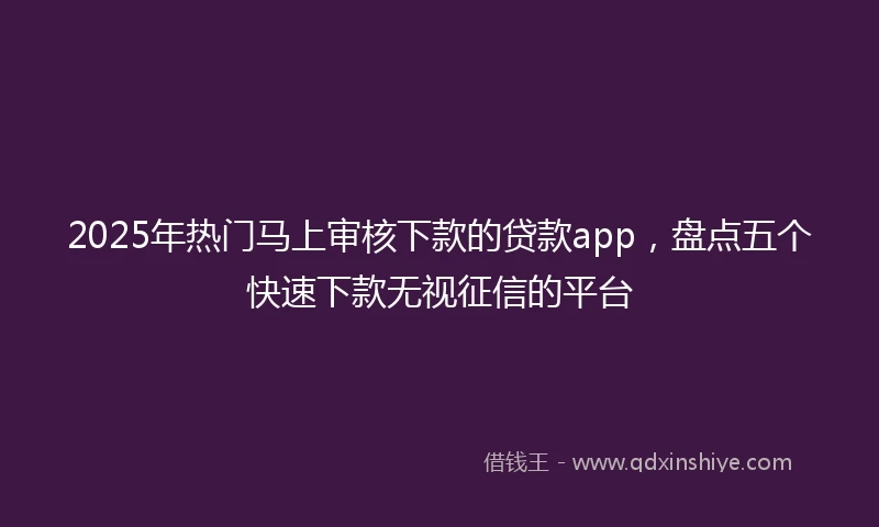 2025年热门马上审核下款的贷款app，盘点五个快速下款无视征信的平台
