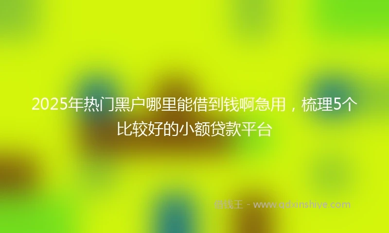 2025年热门黑户哪里能借到钱啊急用，梳理5个比较好的小额贷款平台