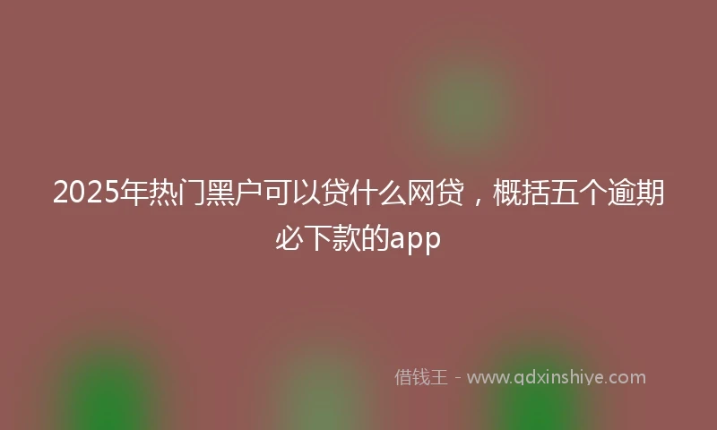 2025年热门黑户可以贷什么网贷，概括五个逾期必下款的app