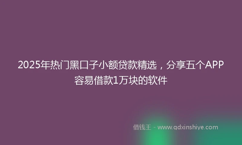 2025年热门黑口子小额贷款精选，分享五个APP容易借款1万块的软件