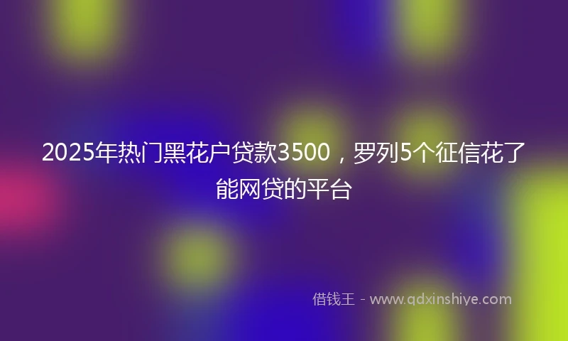 2025年热门黑花户贷款3500，罗列5个征信花了能网贷的平台