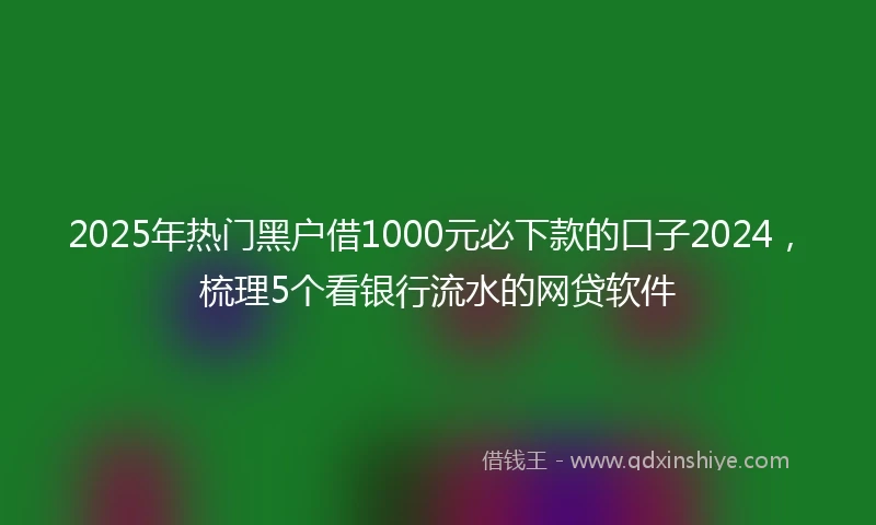 2025年热门黑户借1000元必下款的口子2024，梳理5个看银行流水的网贷软件