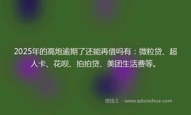 2025年的高炮逾期了还能再借吗有：微粒贷、超人卡、花呗、拍拍贷、美团生活费等。
