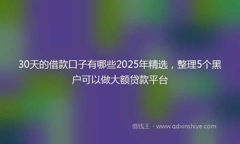 30天的借款口子有哪些2025年精选，整理5个黑户可以做大额贷款平台