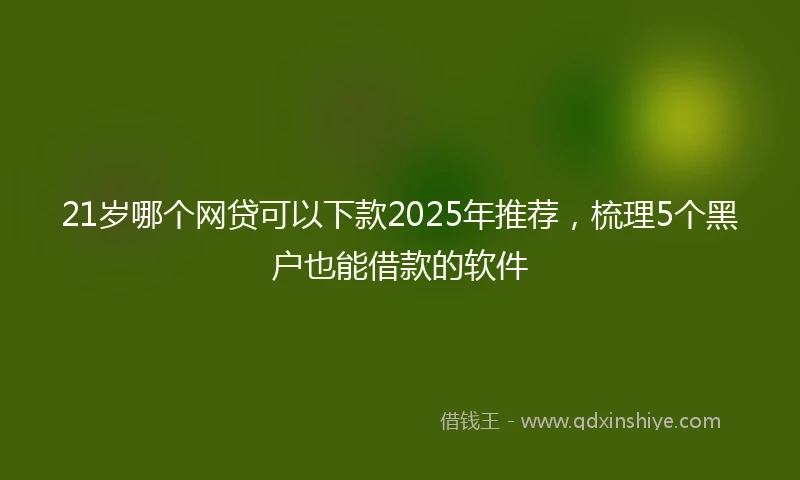 21岁哪个网贷可以下款2025年推荐，梳理5个黑户也能借款的软件