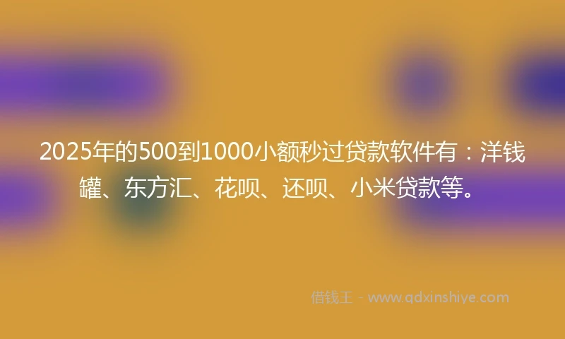 2025年的500到1000小额秒过贷款软件有：洋钱罐、东方汇、花呗、还呗、小米贷款等。