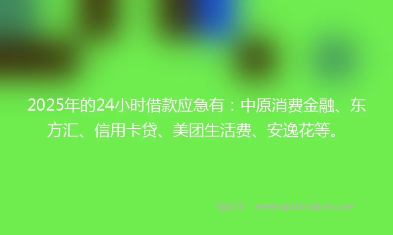 2025年的24小时借款应急有：中原消费金融、东方汇、信用卡贷、美团生活费、安逸花等。