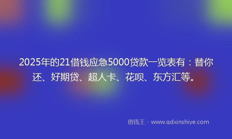 2025年的21借钱应急5000贷款一览表有：替你还、好期贷、超人卡、花呗、东方汇等。