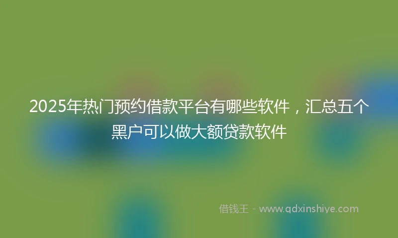2025年热门预约借款平台有哪些软件，汇总五个黑户可以做大额贷款软件