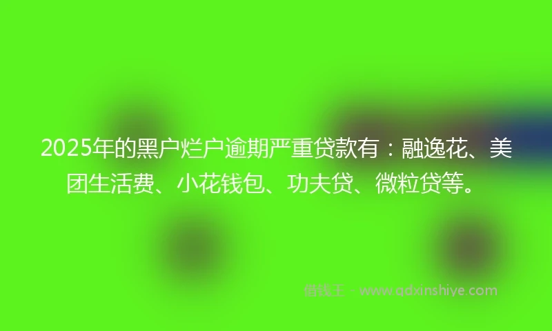 2025年的黑户烂户逾期严重贷款有：融逸花、美团生活费、小花钱包、功夫贷、微粒贷等。