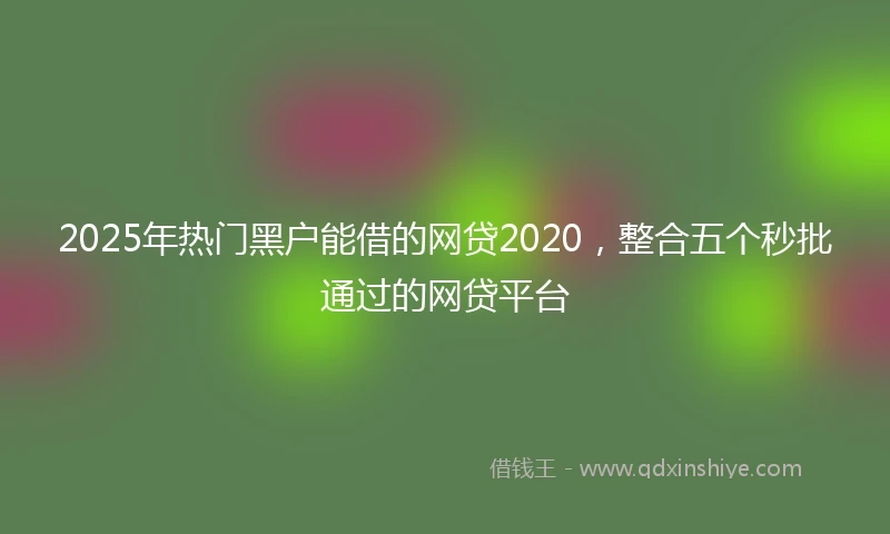 2025年热门黑户能借的网贷2020，整合五个秒批通过的网贷平台