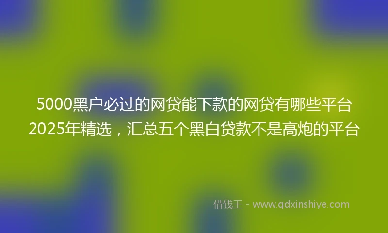 5000黑户必过的网贷能下款的网贷有哪些平台2025年精选，汇总五个黑白贷款不是高炮的平台