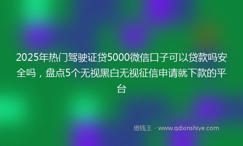 2025年热门驾驶证贷5000微信口子可以贷款吗安全吗，盘点5个无视黑白无视征信申请就下款的平台