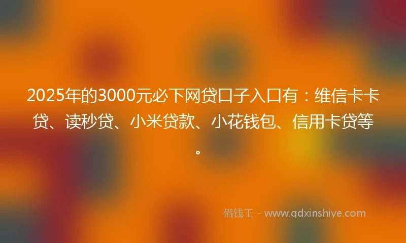 2025年的3000元必下网贷口子入口有：维信卡卡贷、读秒贷、小米贷款、小花钱包、信用卡贷等。