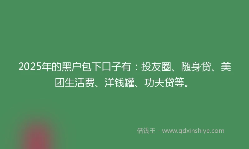 2025年的黑户包下口子有：投友圈、随身贷、美团生活费、洋钱罐、功夫贷等。