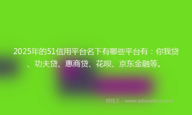 2025年的51信用平台名下有哪些平台有：你我贷、功夫贷、惠商贷、花呗、京东金融等。