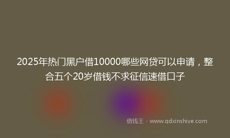 2025年热门黑户借10000哪些网贷可以申请，整合五个20岁借钱不求征信速借口子