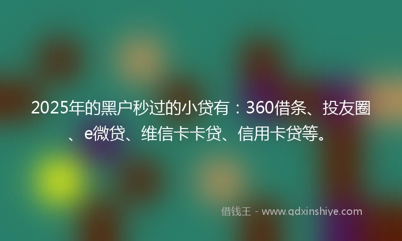 2025年的黑户秒过的小贷有：360借条、投友圈、e微贷、维信卡卡贷、信用卡贷等。