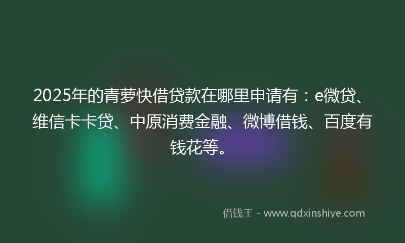 2025年的青萝快借贷款在哪里申请有：e微贷、维信卡卡贷、中原消费金融、微博借钱、百度有钱花等。