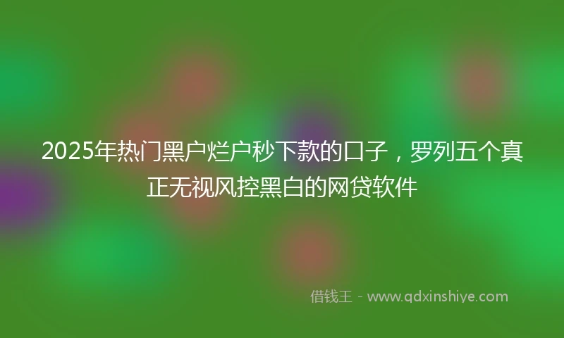 2025年热门黑户烂户秒下款的口子，罗列五个真正无视风控黑白的网贷软件