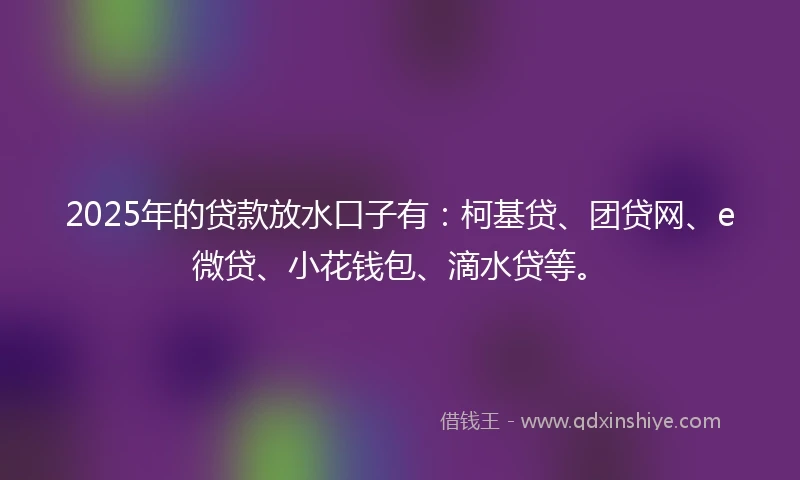 2025年的贷款放水口子有：柯基贷、团贷网、e微贷、小花钱包、滴水贷等。