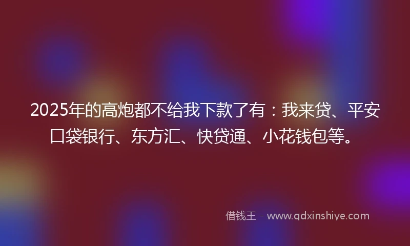 2025年的高炮都不给我下款了有：我来贷、平安口袋银行、东方汇、快贷通、小花钱包等。