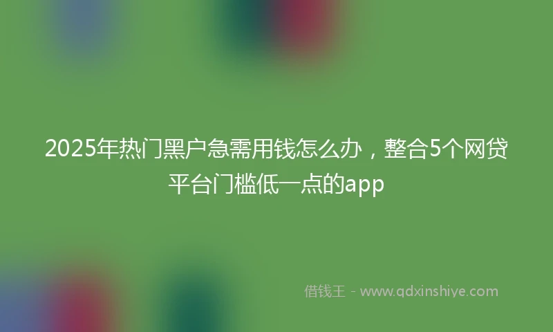 2025年热门黑户急需用钱怎么办，整合5个网贷平台门槛低一点的app