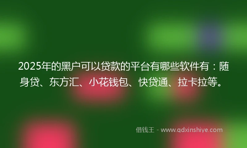 2025年的黑户可以贷款的平台有哪些软件有：随身贷、东方汇、小花钱包、快贷通、拉卡拉等。