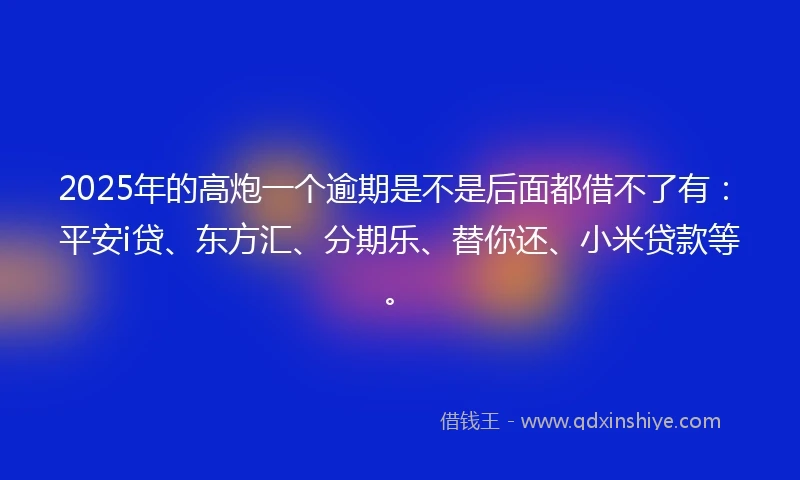 2025年的高炮一个逾期是不是后面都借不了有：平安i贷、东方汇、分期乐、替你还、小米贷款等。