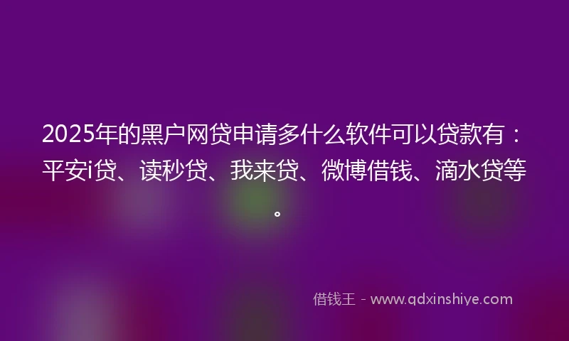 2025年的黑户网贷申请多什么软件可以贷款有：平安i贷、读秒贷、我来贷、微博借钱、滴水贷等。