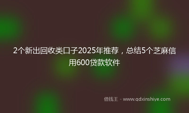 2个新出回收类口子2025年推荐，总结5个芝麻信用600贷款软件