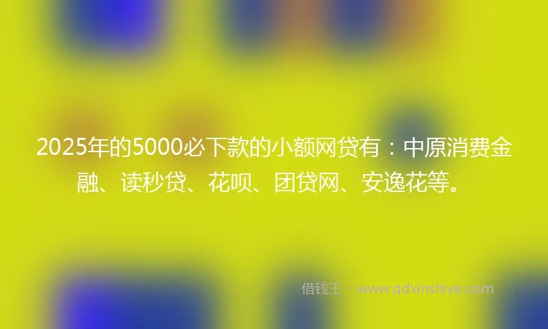 2025年的5000必下款的小额网贷有：中原消费金融、读秒贷、花呗、团贷网、安逸花等。