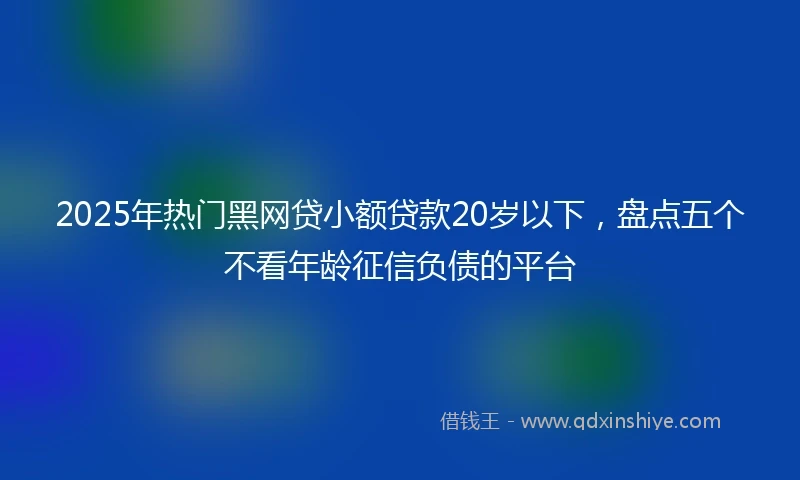 2025年热门黑网贷小额贷款20岁以下，盘点五个不看年龄征信负债的平台