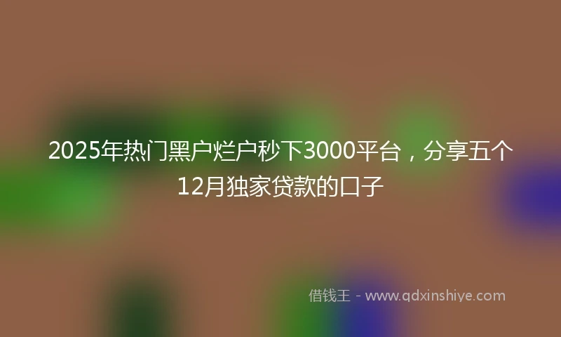 2025年热门黑户烂户秒下3000平台，分享五个12月独家贷款的口子