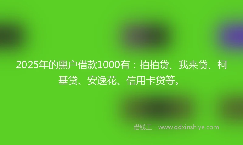 2025年的黑户借款1000有：拍拍贷、我来贷、柯基贷、安逸花、信用卡贷等。