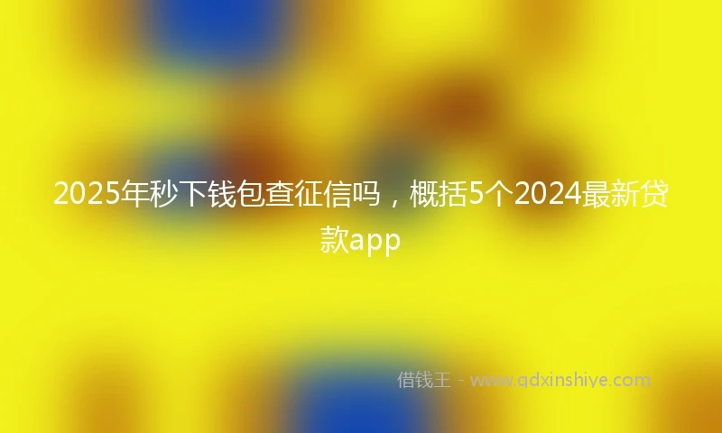 2025年秒下钱包查征信吗，概括5个2024最新贷款app