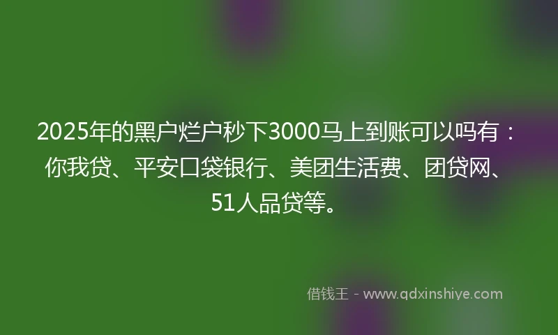 2025年的黑户烂户秒下3000马上到账可以吗有：你我贷、平安口袋银行、美团生活费、团贷网、51人品贷等。