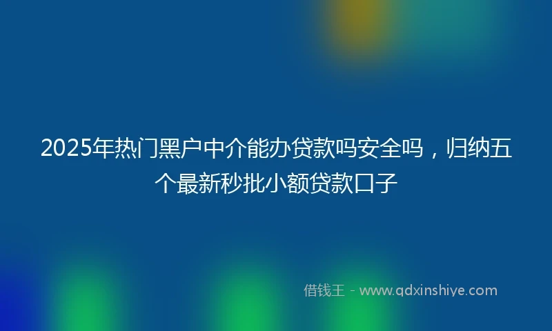 2025年热门黑户中介能办贷款吗安全吗，归纳五个最新秒批小额贷款口子