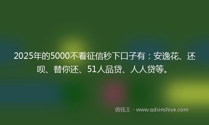 2025年的5000不看征信秒下口子有：安逸花、还呗、替你还、51人品贷、人人贷等。