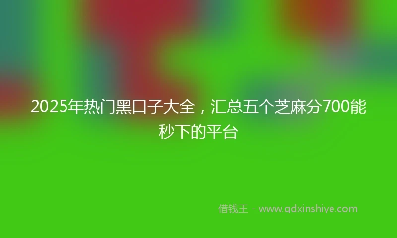 2025年热门黑口子大全,汇总五个芝麻分700能秒下的平台