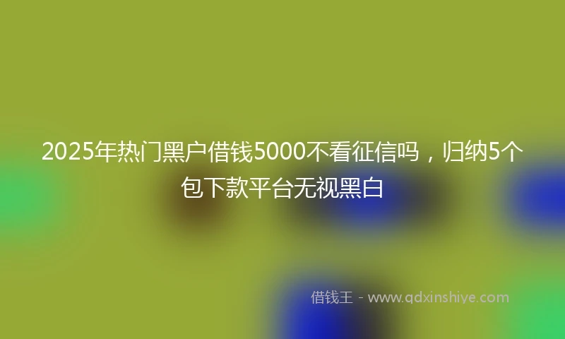 2025年热门黑户借钱5000不看征信吗,归纳5个包下款平台无视黑白
