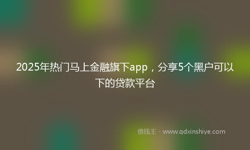 2025年热门马上金融旗下app，分享5个黑户可以下的贷款平台
