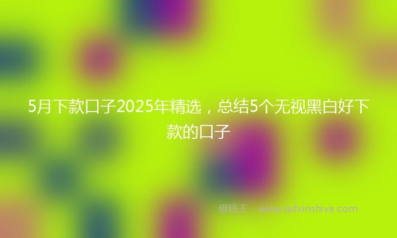 5月下款口子2025年精选，总结5个无视黑白好下款的口子
