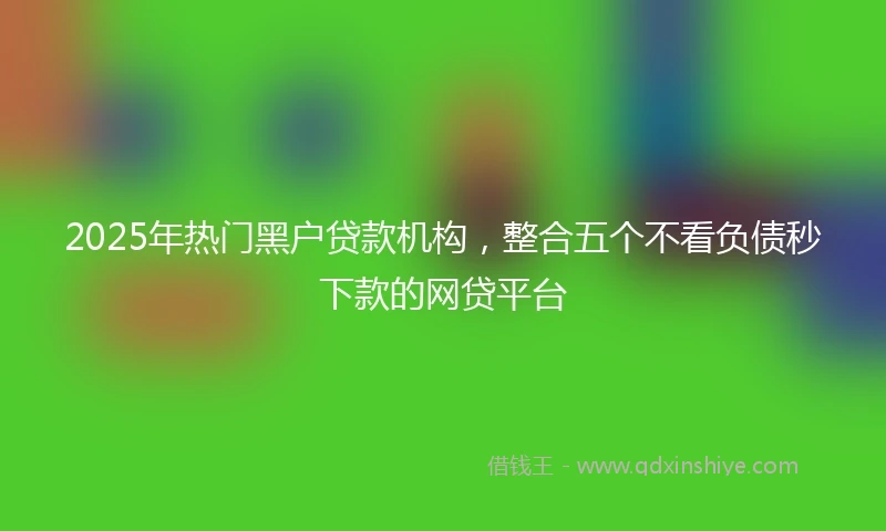 2025年热门黑户贷款机构，整合五个不看负债秒下款的网贷平台