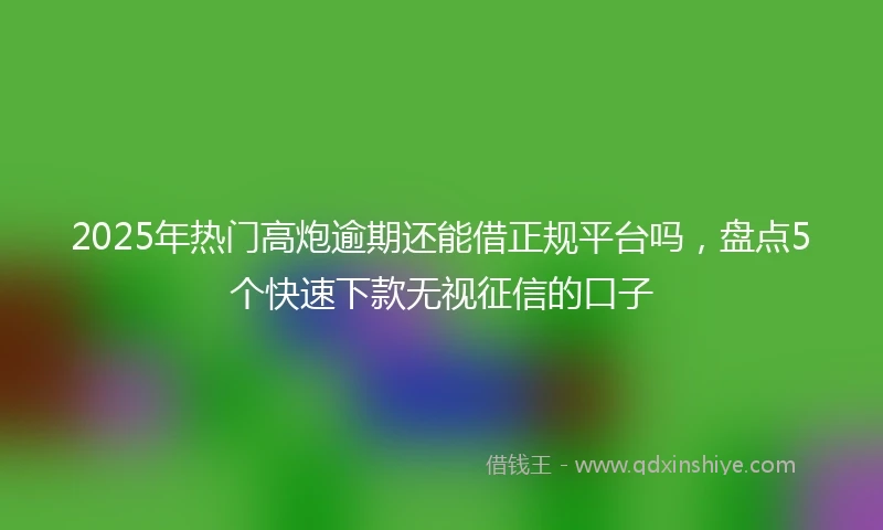 2025年热门高炮逾期还能借正规平台吗，盘点5个快速下款无视征信的口子