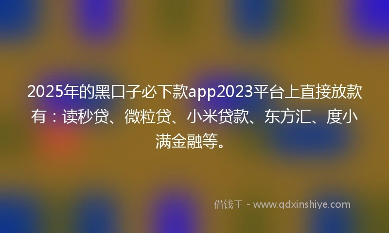 2025年的黑口子必下款app2023平台上直接放款有：读秒贷、微粒贷、小米贷款、东方汇、度小满金融等。