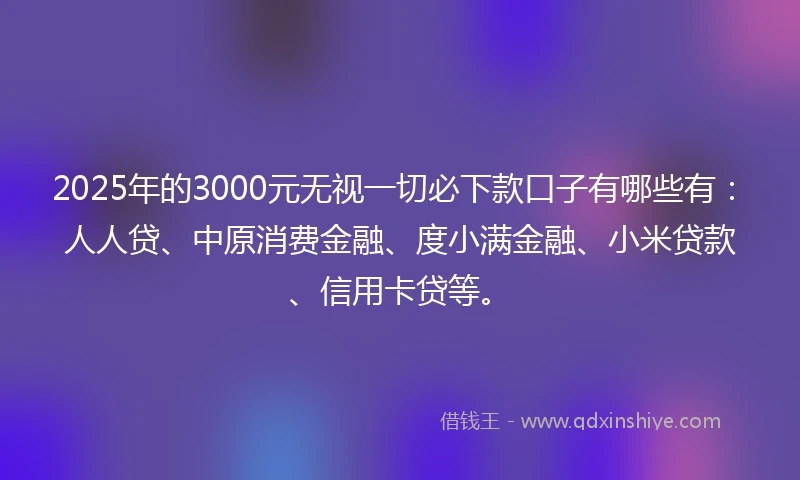 2025年的3000元无视一切必下款口子有哪些有：人人贷、中原消费金融、度小满金融、小米贷款、信用卡贷等。