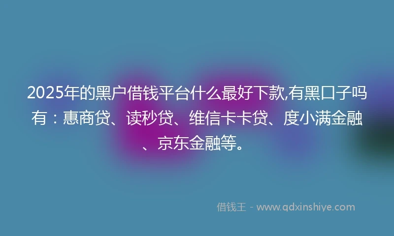 2025年的黑户借钱平台什么最好下款,有黑口子吗有：惠商贷、读秒贷、维信卡卡贷、度小满金融、京东金融等。