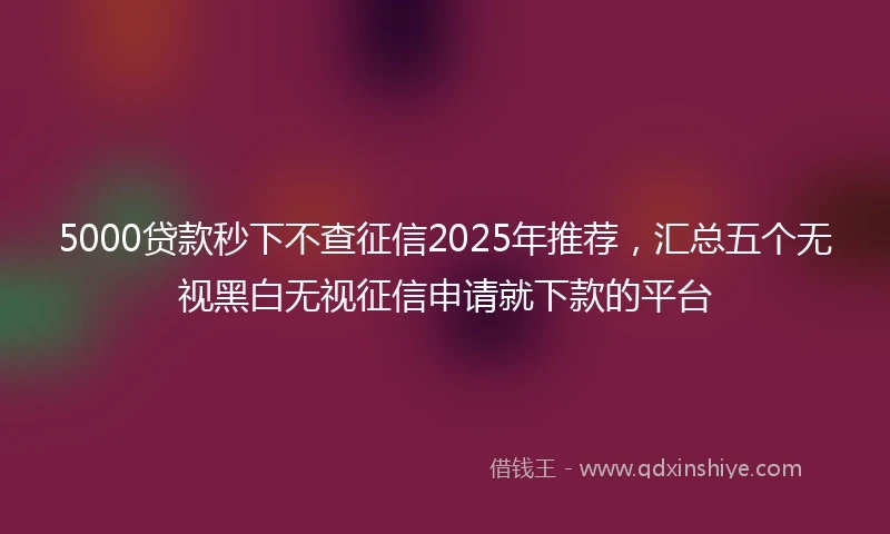 5000贷款秒下不查征信2025年推荐,汇总五个无视黑白无视征信申请就下款的平台